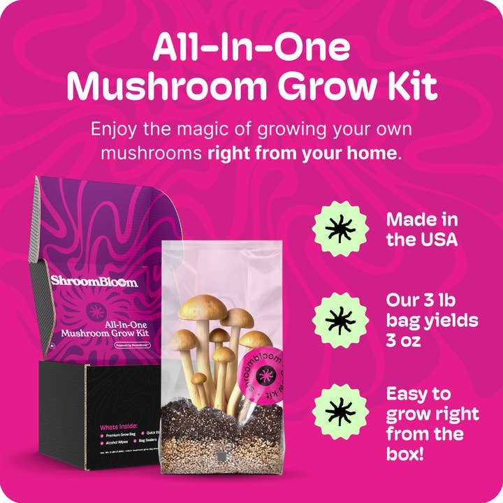 All-In-One Mushroom Grow Kit – Perfect for First-Time Grower for wholesale by Nublume Mushroom