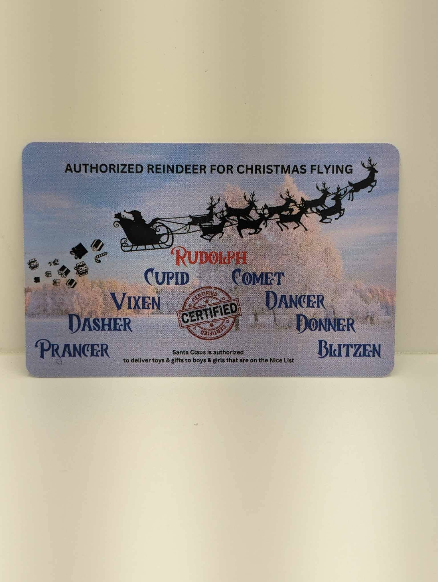 Snowfall Ridge LLC Accessories - Wholesale Kerstdecoratie - Santa Evidence Kit2