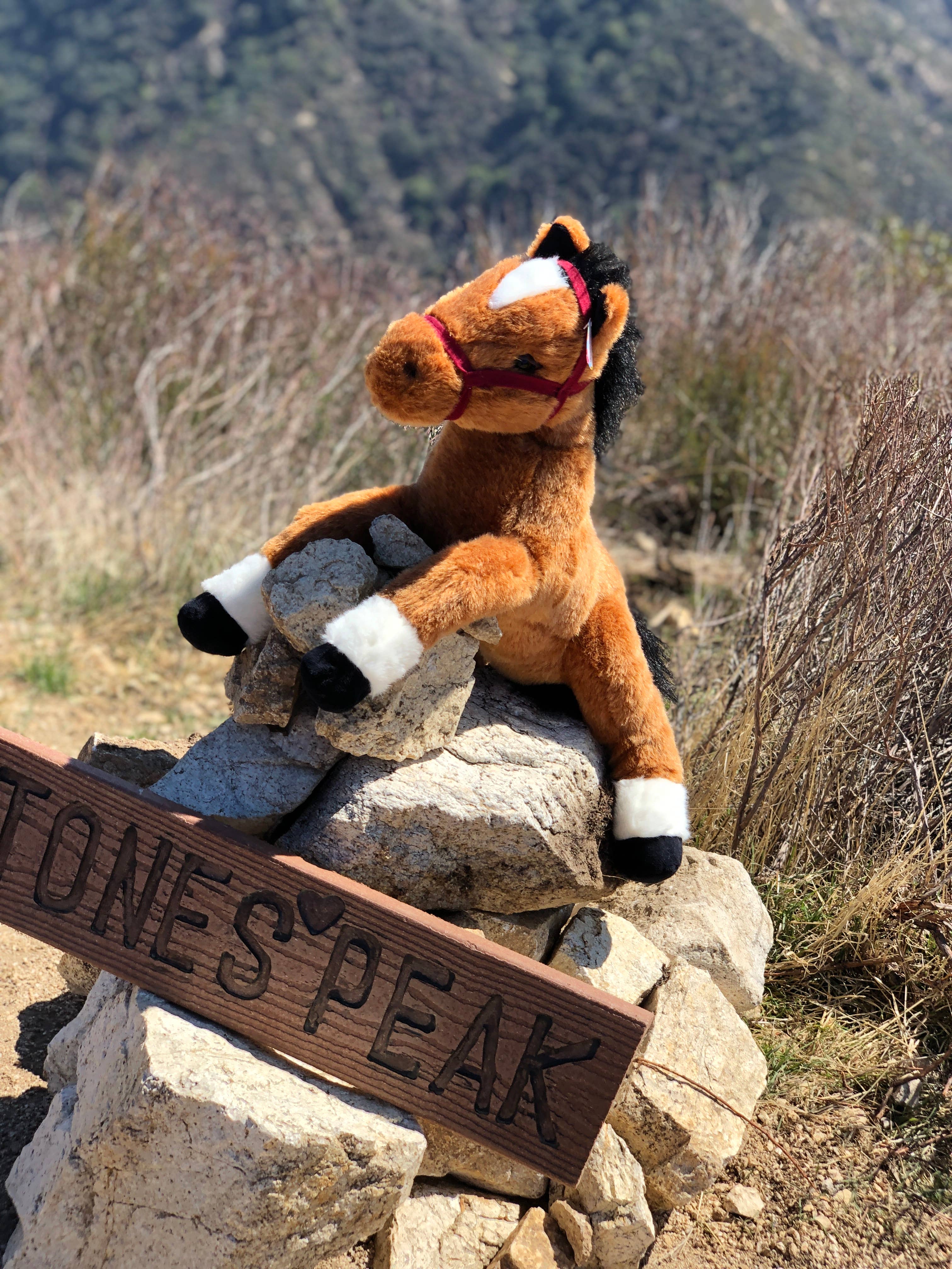 Plushland - Wholesale Stuffed/Plush Toy - Kids & Baby - 14" & 17" Resting Horse Plush - Soft Plush Stuffed Animals8