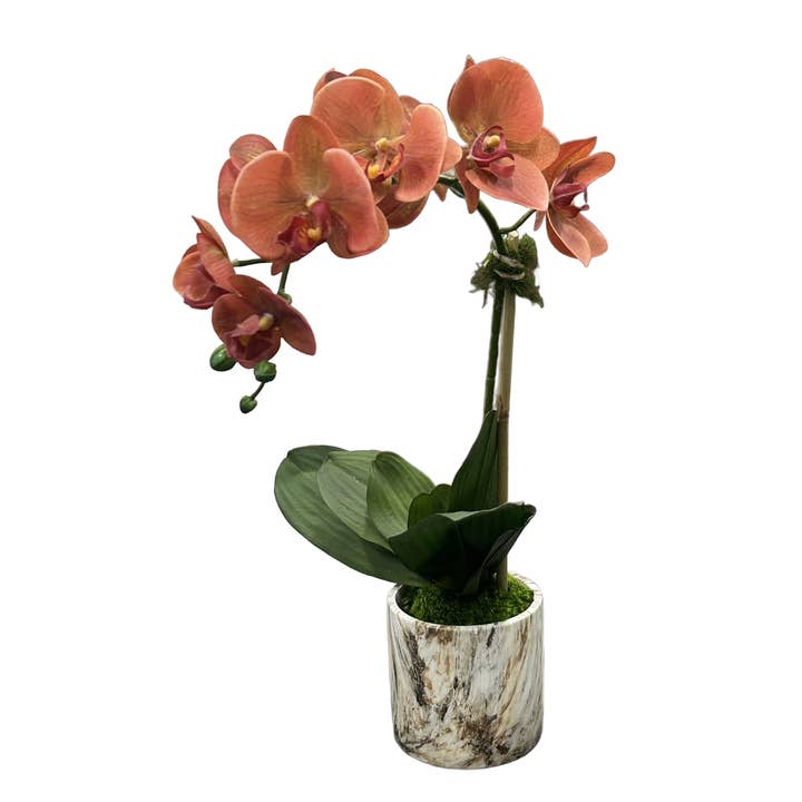 The Ivy Guild - Wholesale Artificial Flowers - Coral Orchid In Marble Pot