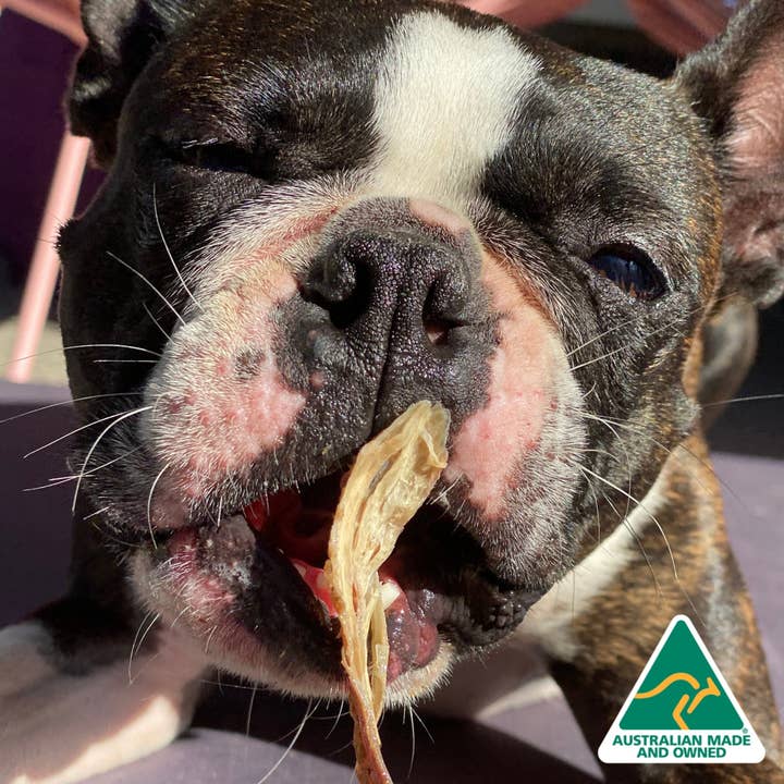 Rover Pet Products - Wholesale Pet treats – Dog - I FIS#*D UP - Lean Fish Jerky3