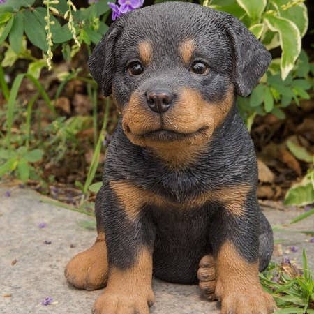 Hi-Line Gift Ltd. - Vente Bibelots/décorations d'extérieur - Chiot Rottweiler