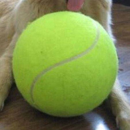 Threaded Pear - Wholesale Pet Fetch Ball - Dog - Jumbo Tennis Ball0