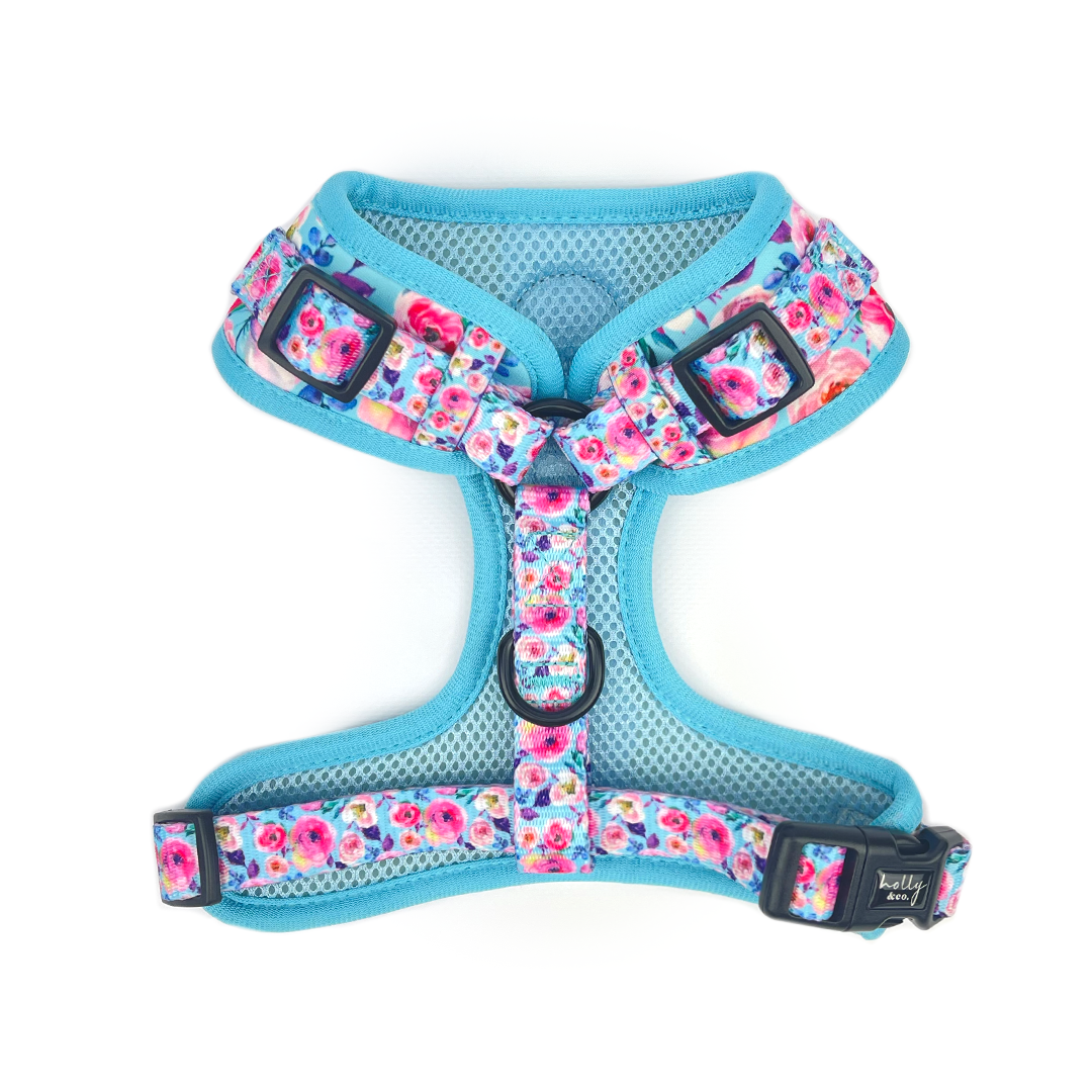 Holly and Co Australia Pty Ltd - Wholesale Pet harness – Dog - Dog Harness // Ok, Bloomer1