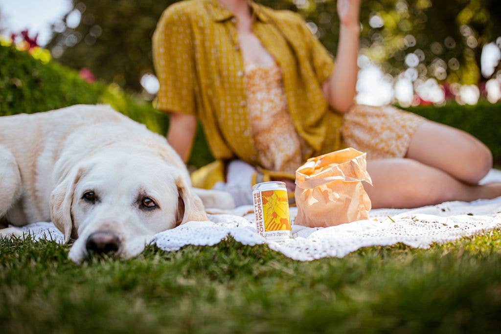 For Bitter For Worse - Wholesale Non-Alcoholic Aperitif/Mocktail - Eva's Spritz can mocktail, non-alcoholic Dry January Organic3