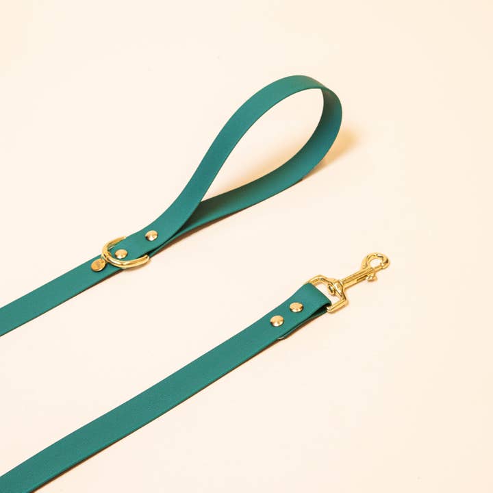 Leash “The Adventurer” - Parisian green for wholesale by Fidèle Paris