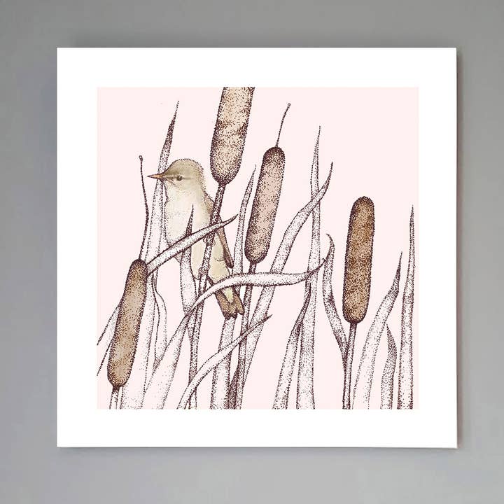 'Reed Warbler' Art Print for wholesale by Fay's Studio