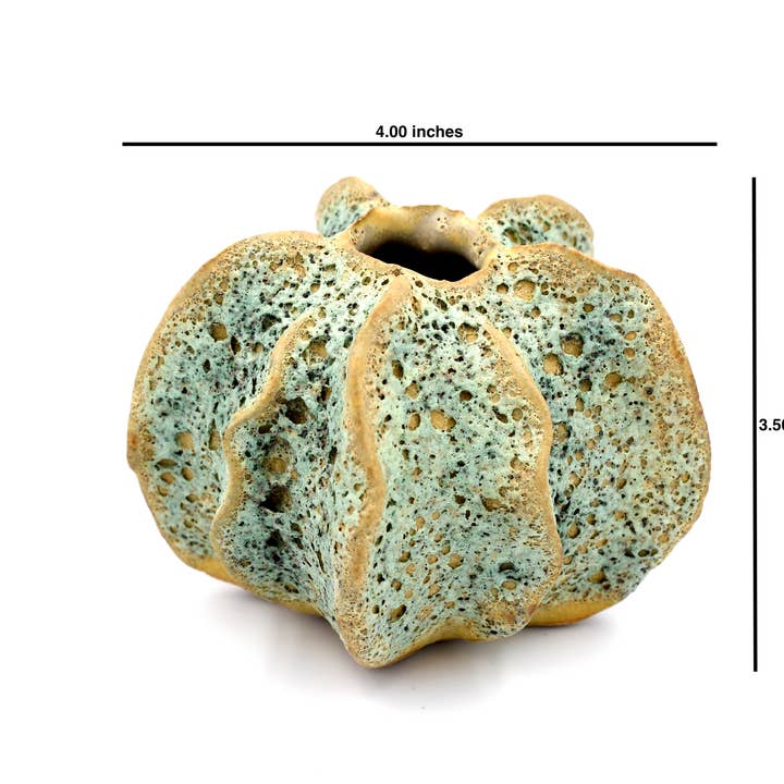 Art Floral Trading LLC - Venta al por mayor Pufs/esponjas de baño - SRI119G Esponja de Baño de Lufa Pequeña Verde Musgo1