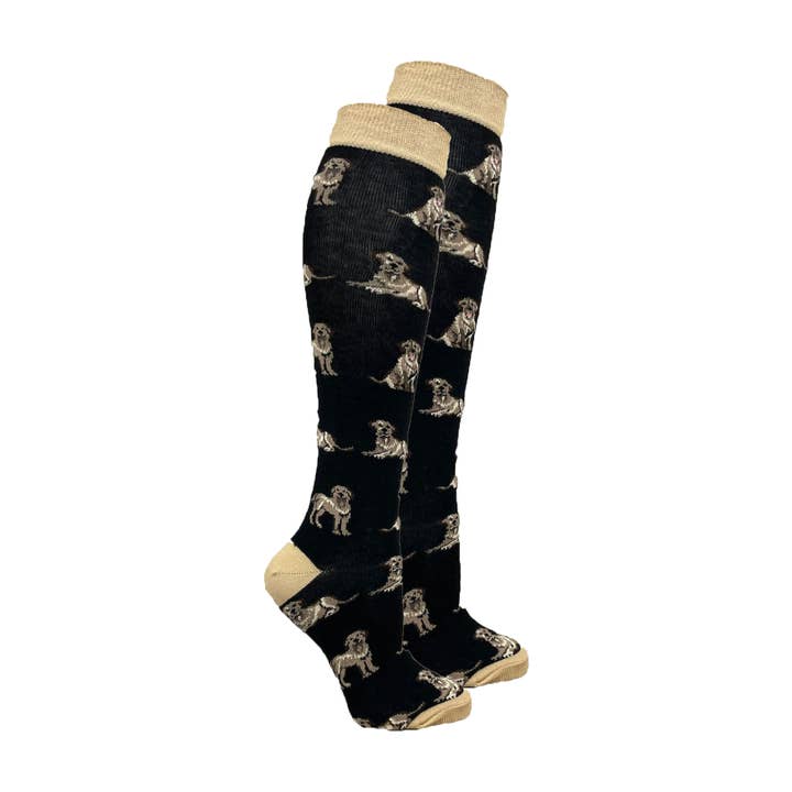 Meias femininas Golden Retriever até o joelho por atacado de Socks n Socks