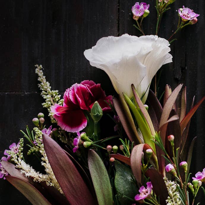 Viori Beauty - Wholesale Hair Conditioner - Rice Water Conditioner Bar | Terrace Garden™ | Dry Hair1