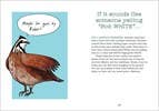 Hachette Book Group - Wholesale Humor - Bird Talk: Hilariously Accurate Ways to Identify Birds4