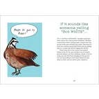 Hachette Book Group - Wholesale Humor - Bird Talk: Hilariously Accurate Ways to Identify Birds4