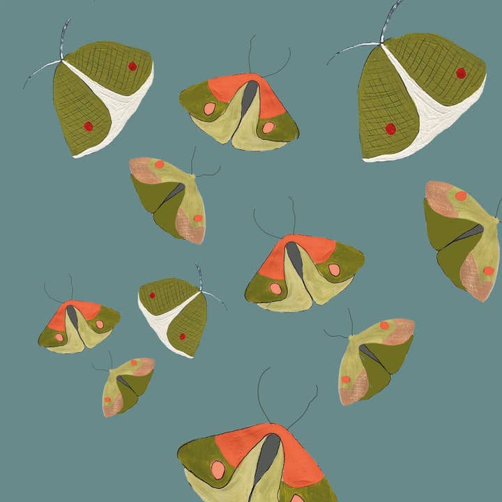 EC02W Small Eclipse Wrapping Paper for wholesale by Print Circus