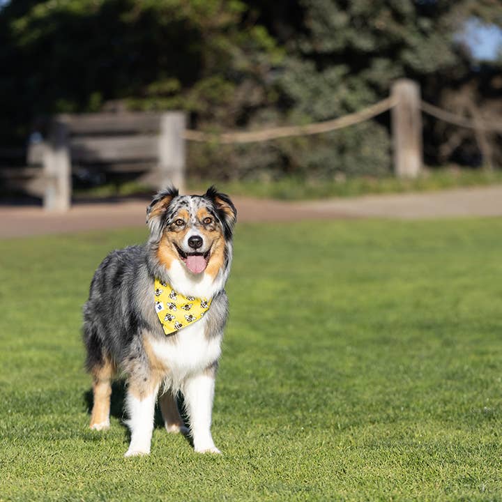Dog Bandana Co. - Vendita all'ingrosso Bandana - Cani - Bandana per Cani a Doppia Faccia con Cravatta e Bottone a Pressione Api & Fiori4
