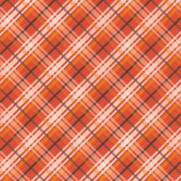 Paper House Productions - Wholesale Craft Supplies - Great Outdoors Tags 12x12 Double Sided Paper1