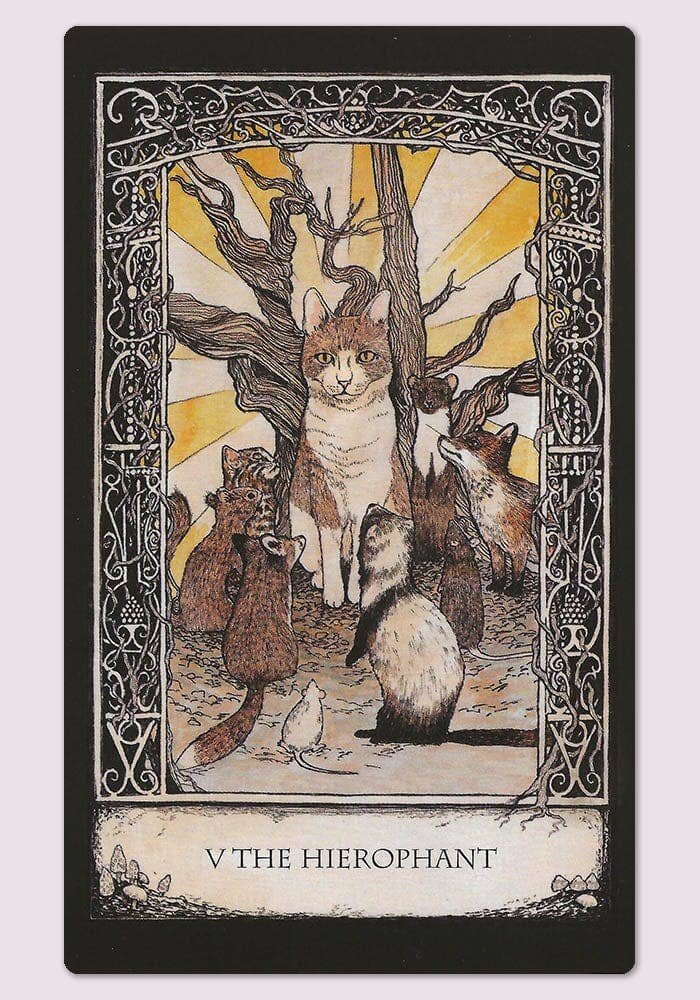 Cardshouse – Cartas de tarô por atacado – Conjunto de Baralho e Livro Tarot of Tales - Cardshouse8