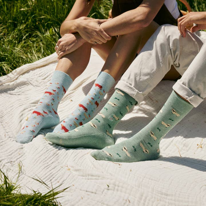 Conscious Step - Wholesale Socks - Unisex - Socks that Save Sheep6