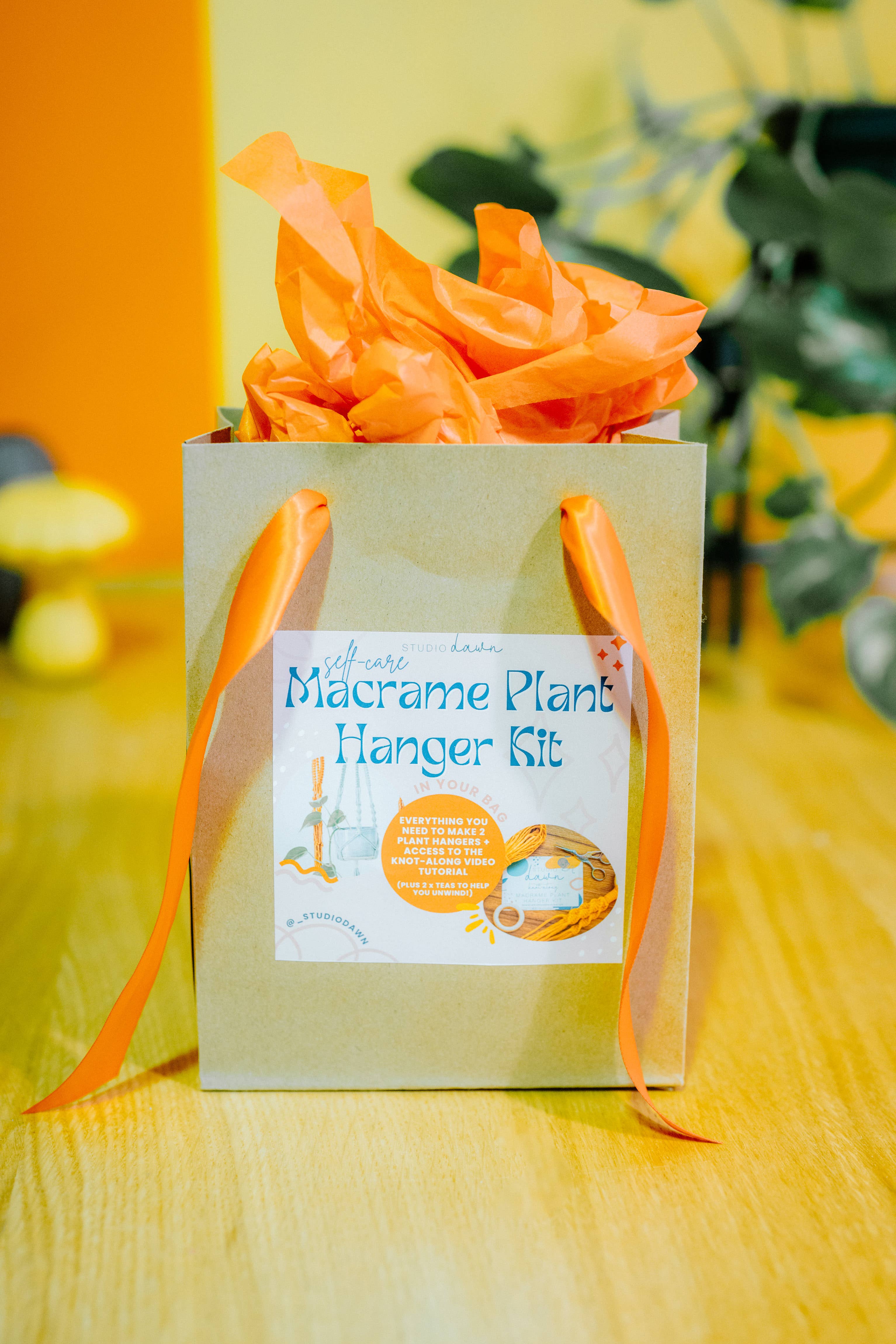 Studio Dawn - Wholesale DIY Craft Kit - DIY Macrame Plant Hanger Kit4