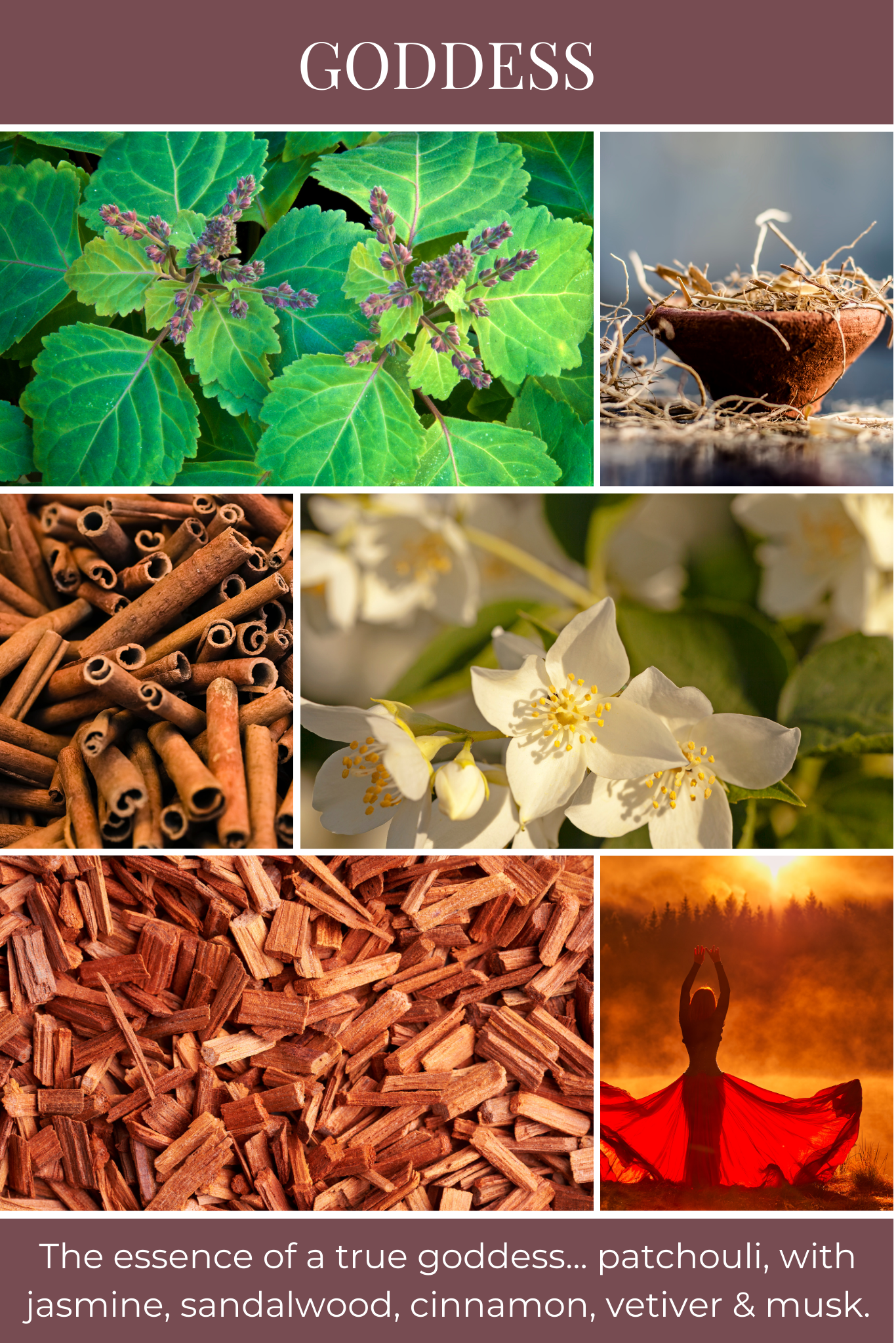 Eco Candle Company – difusor de fragrâncias por atacado – difusor de varetas DEUSA1