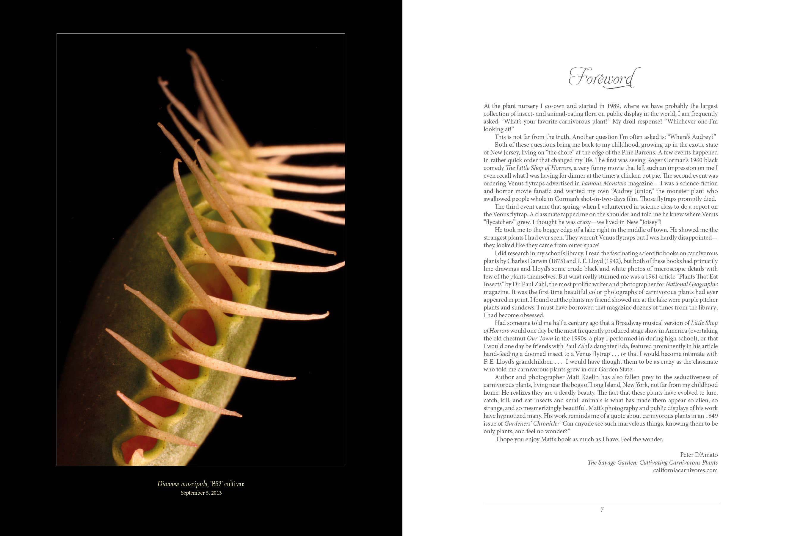 Schiffer Publishing - Venta al por mayor Nature & Outdoors - La siniestra belleza de las plantas carnívoras2