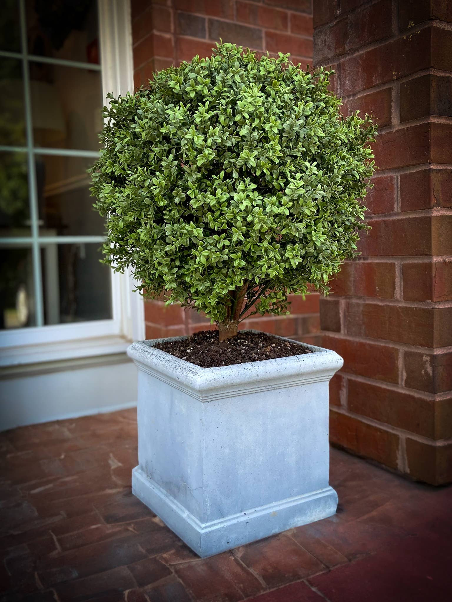 Mills Floral Company – wholesale Artificial plant – UV Boxwood Ball 24 X 34" Topiary2