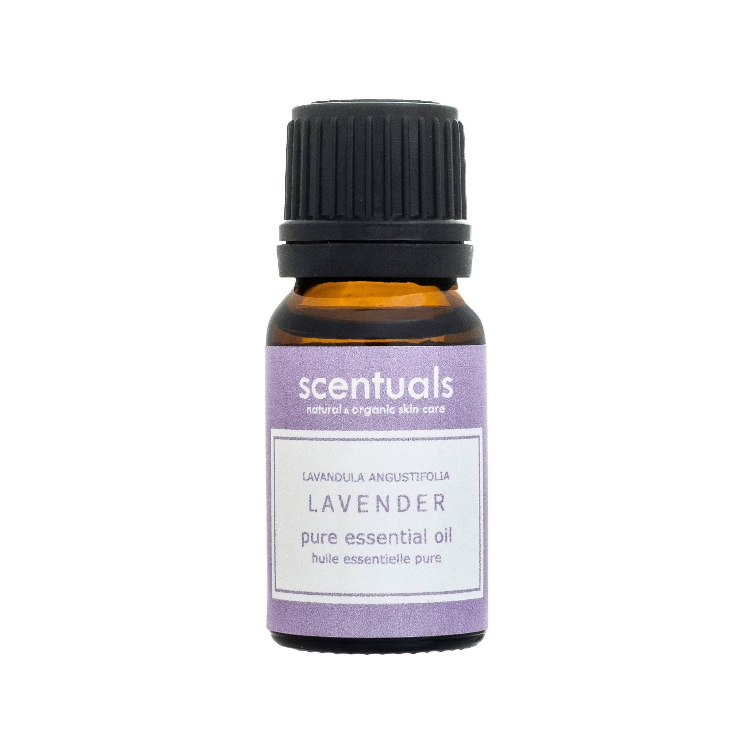 Scentuals Natural & Organic Skin Care - Wholesale Essential oil - Lavender Pure Essential Oil