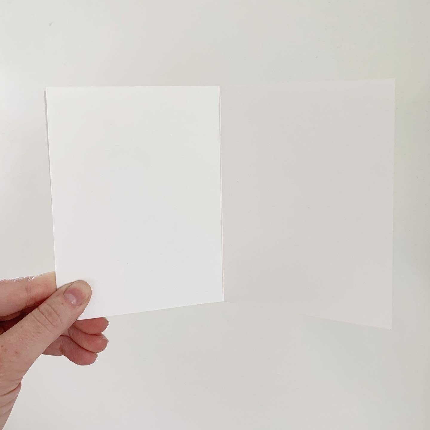 The Critter Co. - Wholesale Birthday Card - Raccoon Birthday Card2