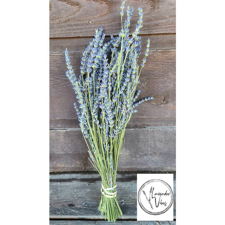 Lavender Vibes LLC - Wholesale Dried/Pressed Flowers - Lavender Grosso Bundle- individually wrapped2