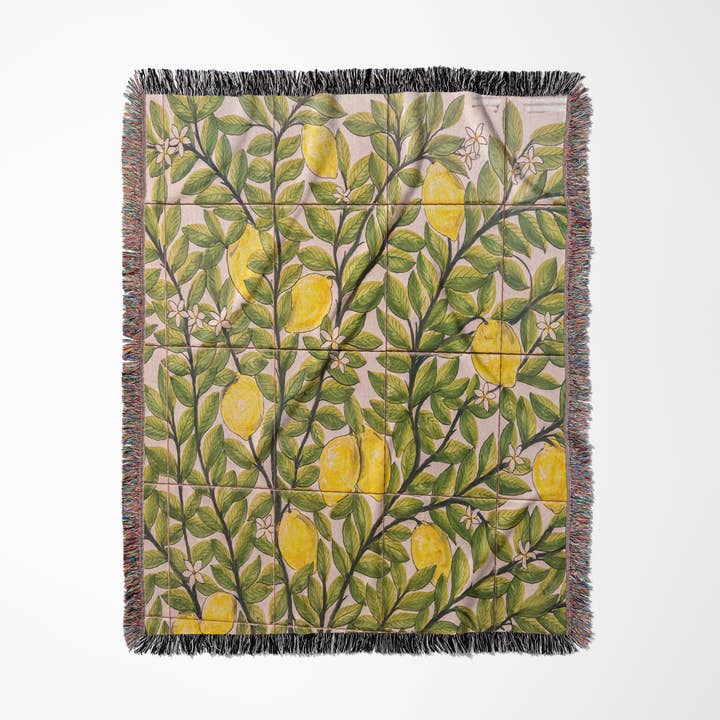 3dRose - Vendita all'ingrosso Plaid - 3dRose, Portogallo, Evora, murale in piastrelle di ceramica dipinto a mano, Coperta0