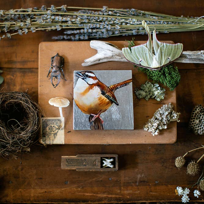 Carolina Wren for wholesale by Joseph Bradley Studio