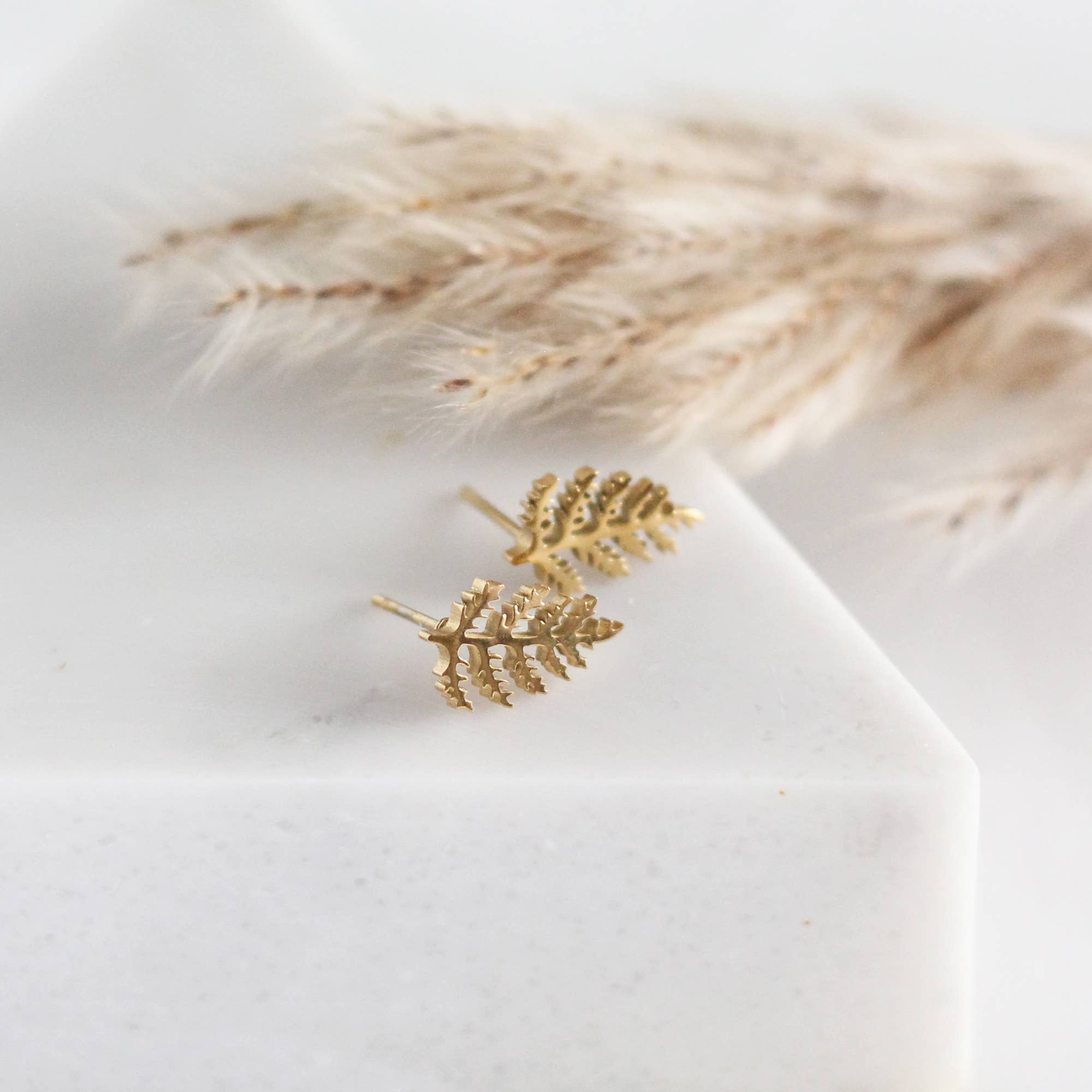 Birch Jewellery - Wholesale Stud/Post Earrings - Mini Fern Earrings (Gold)1