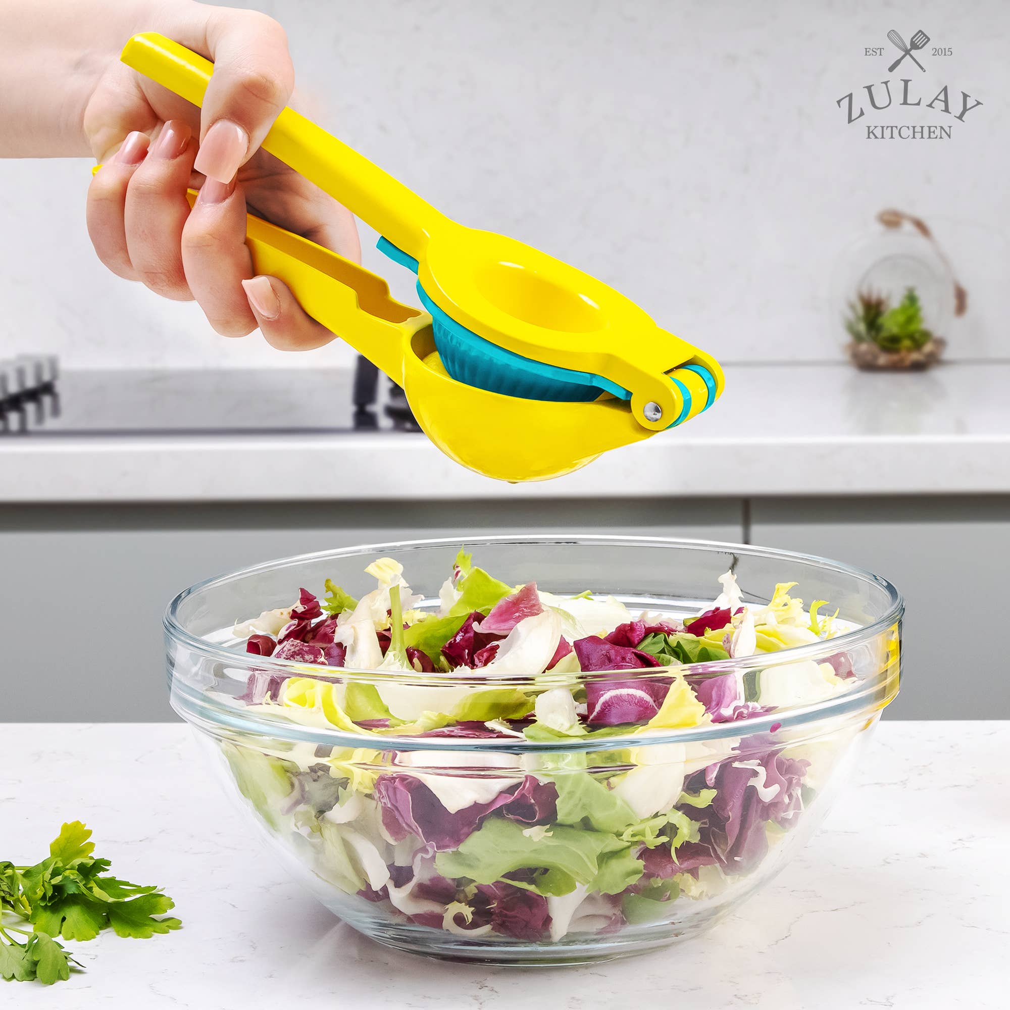 Zulay Kitchen - Venta al por mayor Exprimidores - Exprimidor de limón y lima 2 en 1 de metal, exprimidor manual35