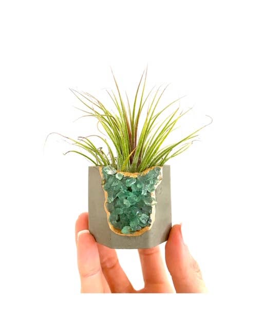 Plant One On Me Designs - Wholesale Plant pot - Geode Planter with Air Plant - Mixed Color - Small Vessel5