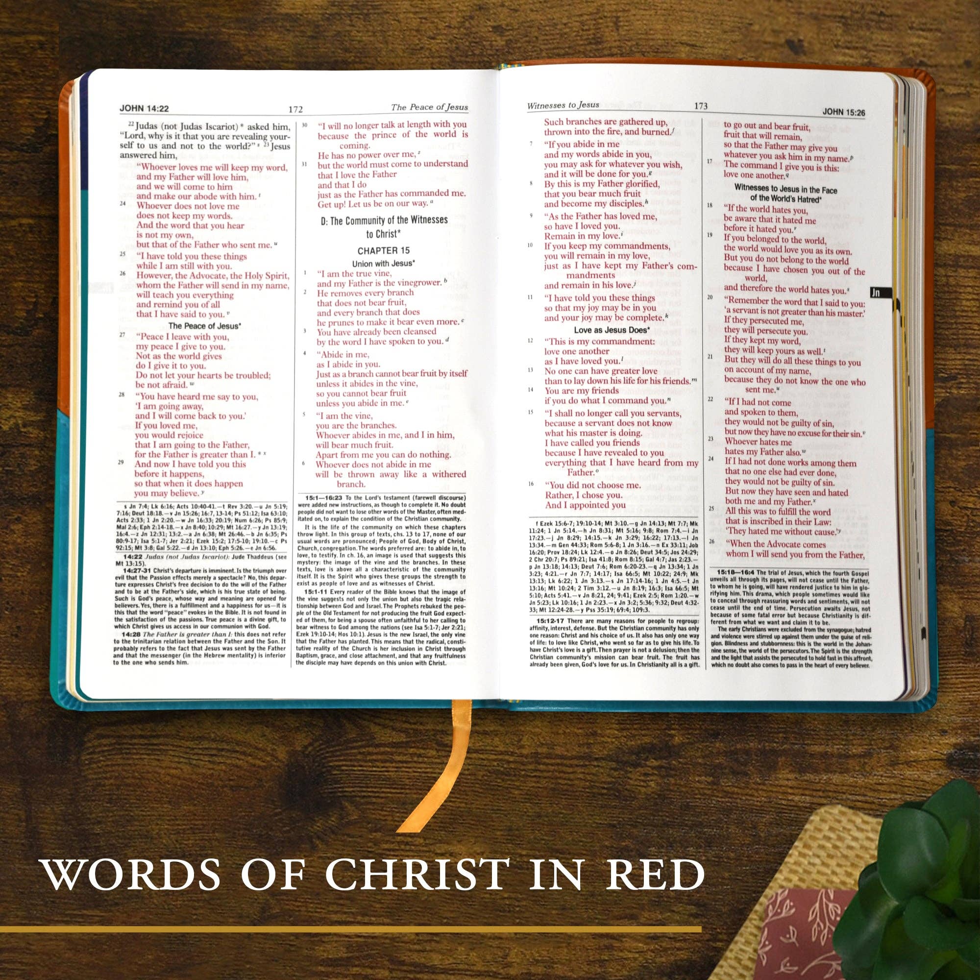 Catholic Book Publishing - Vente Livre sur la religion - Nouvelle Bible catholique pour les jeunes - Édition cadeau2