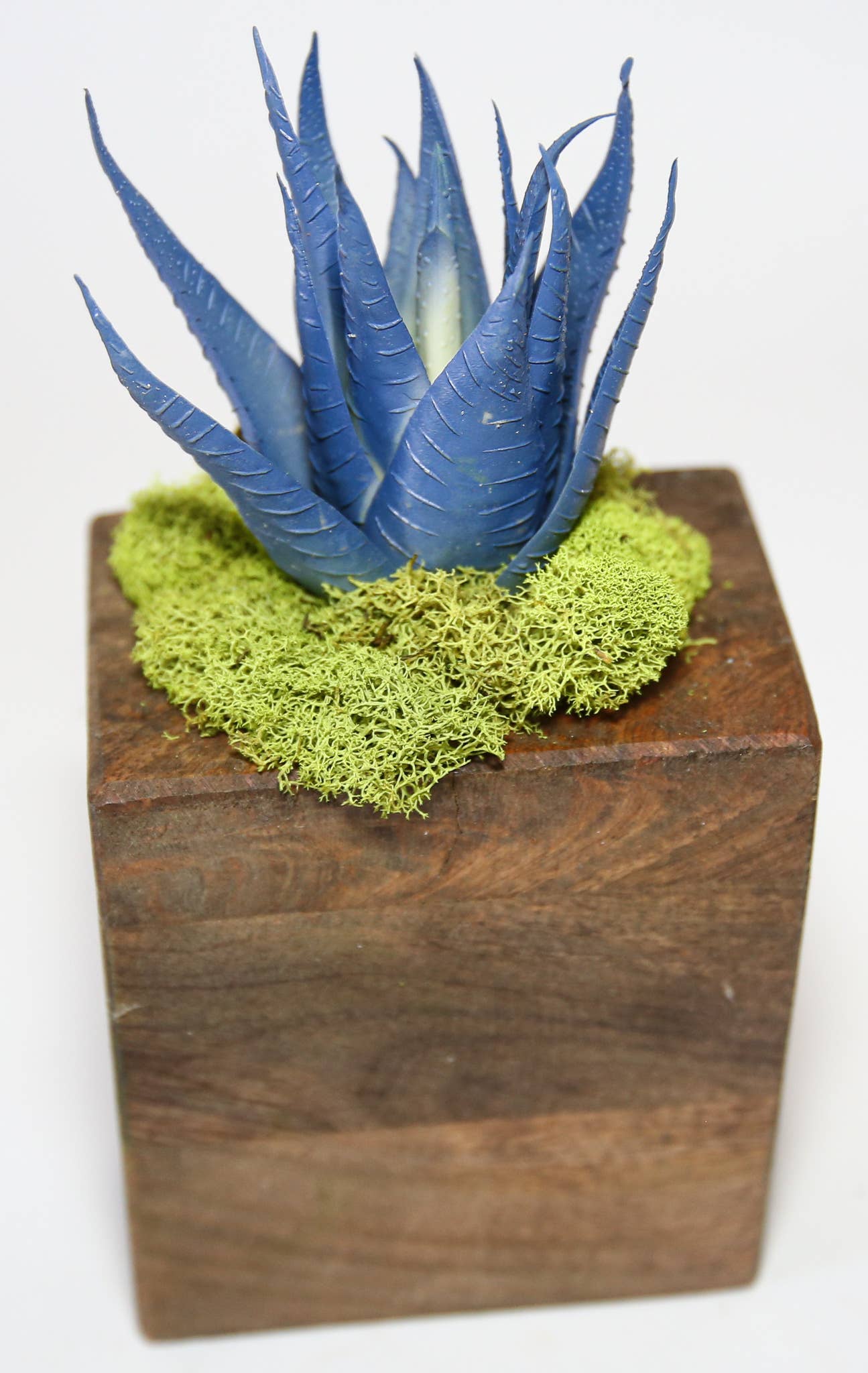 Forever Green Art - Wholesale Succulent - Succulent Sugar Mold Set of 913