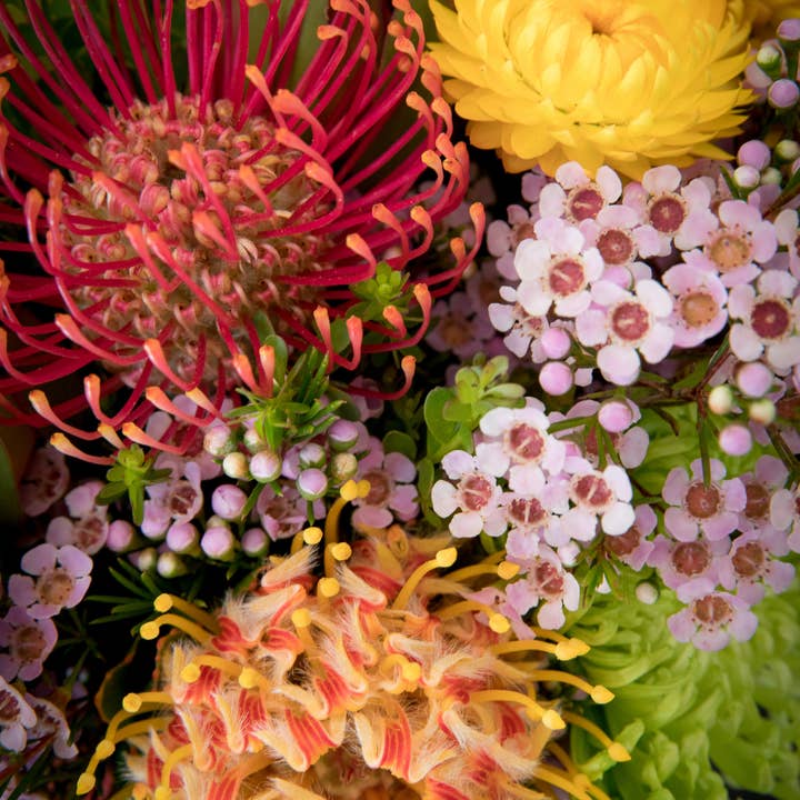 Fairywren Candle Company - Wholesale Jar/filled candle - Australian Wildflowers - Perennial White 320g1