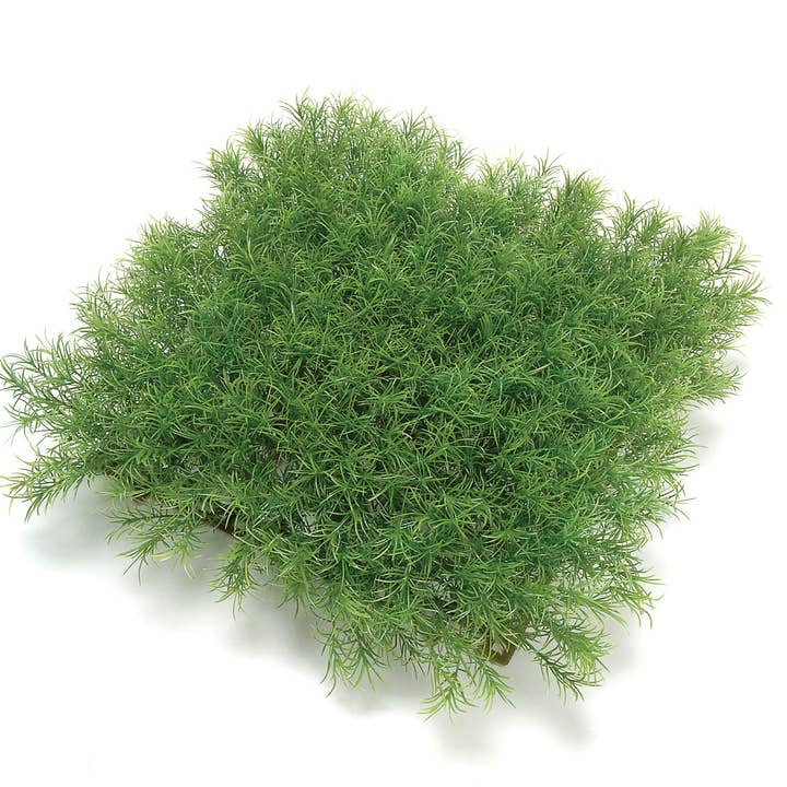 Studio Specialties - Wholesale Artificial Plant - MAT GREEN 10X10"