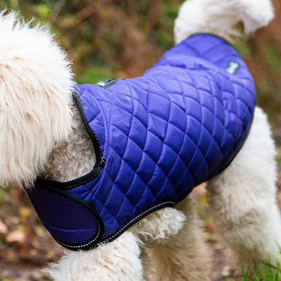 Giacca trapuntata per cani Henry Wag per la vendita all'ingrosso da parte di Henry Wag
