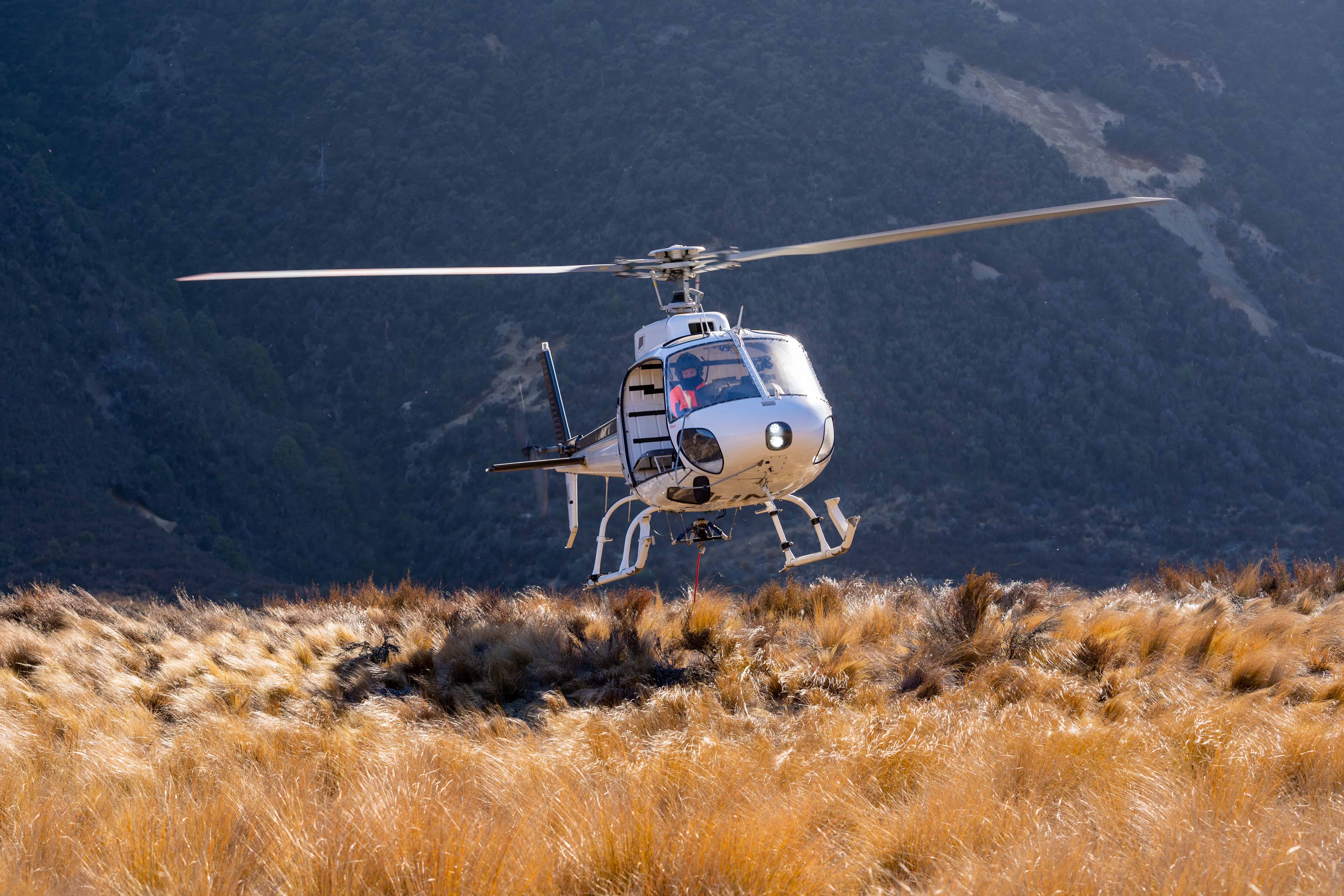 Zealandia Honey - Wholesale Honey - Zealandia Honey® Platinum3