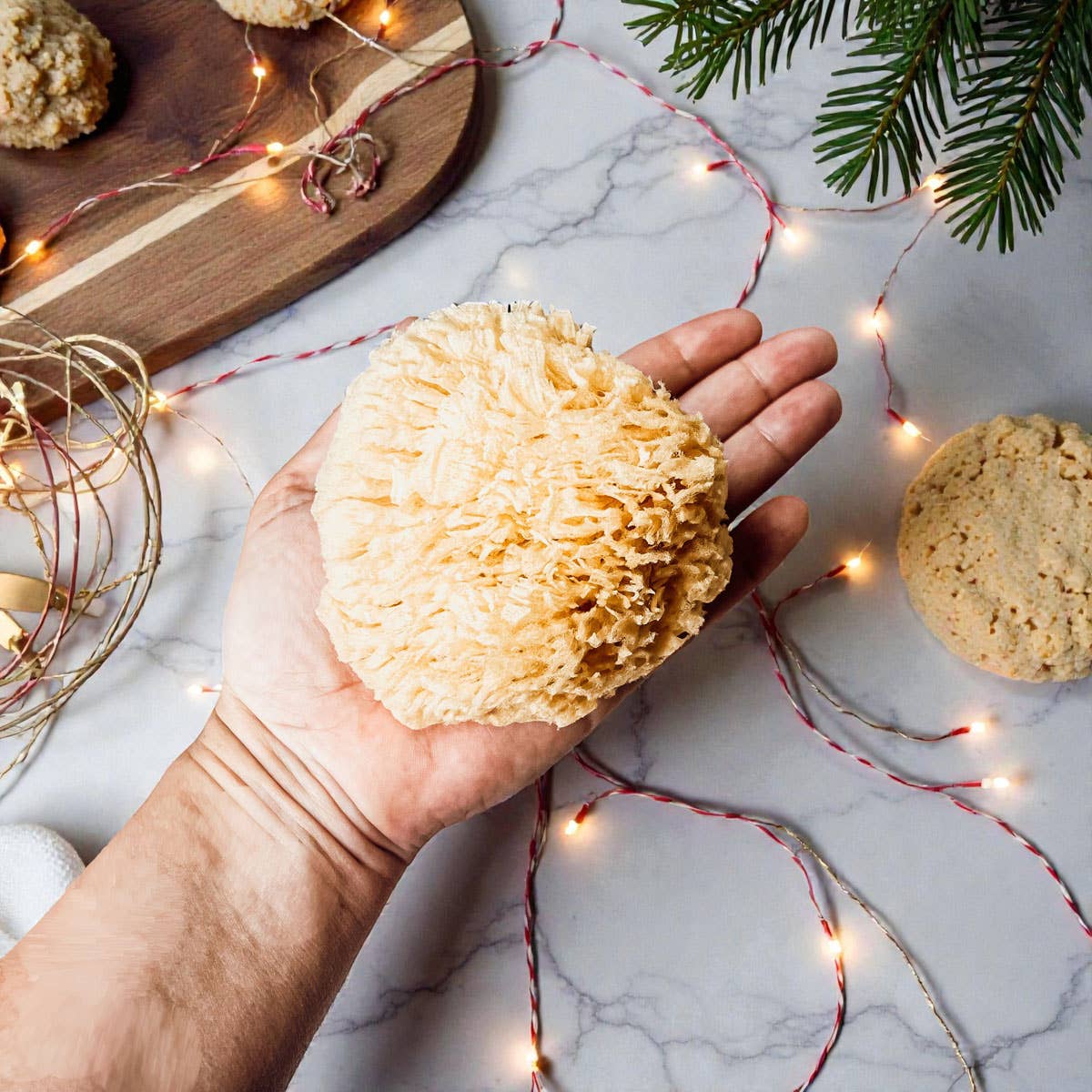 Gia Roma - Wholesale Bath Pouf/Sponge - Dead Sea Sponge, All Natural Body Wash Loofah 4-5"25