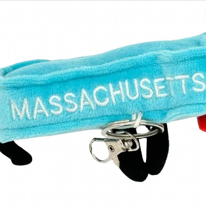 Stuffed States USA - Wholesale Keychain - Unisex - Massachusetts Plush Bag Charms/ Keychains -Mini Stuffs 2