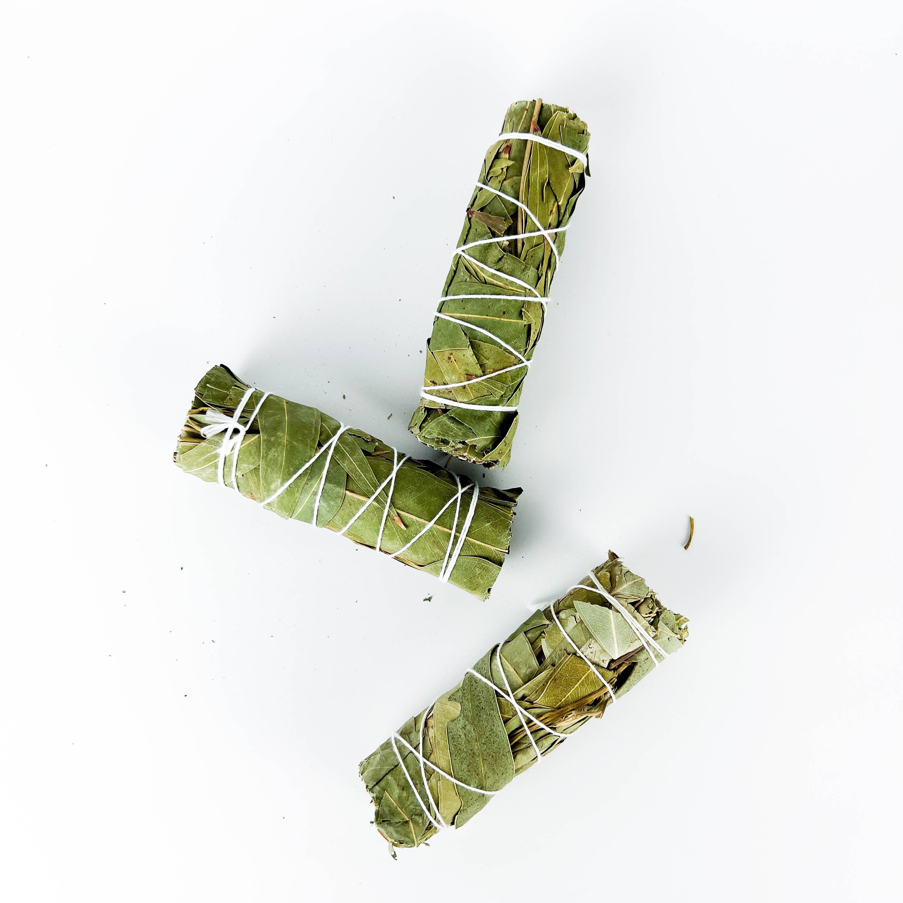 GREENROOTS USA LLC - Wholesale Smudge Stick - Eucalyptus Smudge Stick 4" Bundle For Ceremony, Meditation3