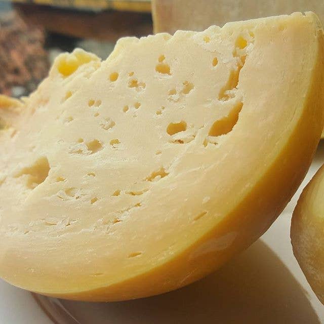 I sapori di una volta s.r.l.s – Engroshandel Ost – Caciocavallo Irpino lagret i 18 måneder3