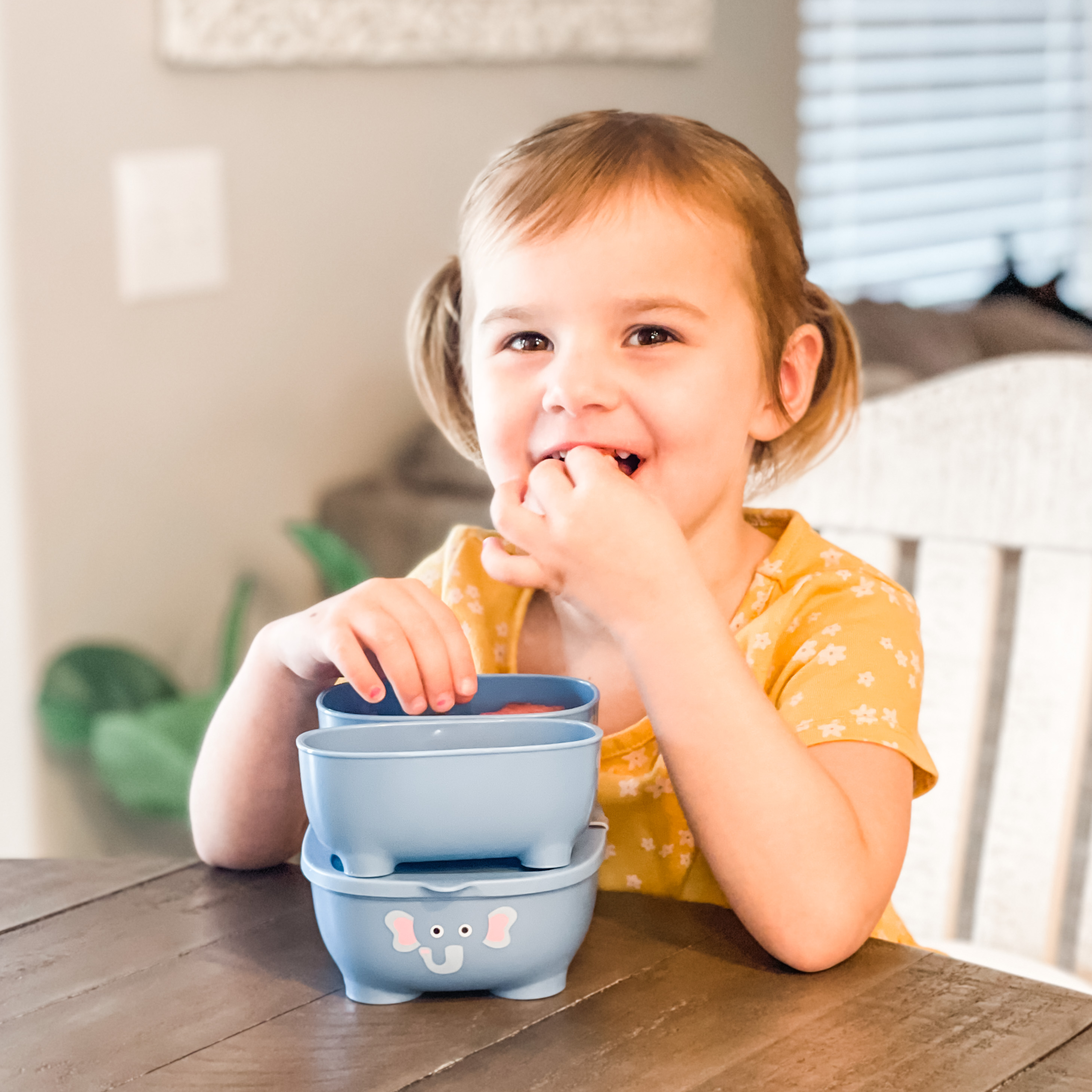 Prince Lionheart - Wholesale Lunch bag/box – Kids - Bentomal ® To Go Bento Box and Carry Bag Lunch Box Container5