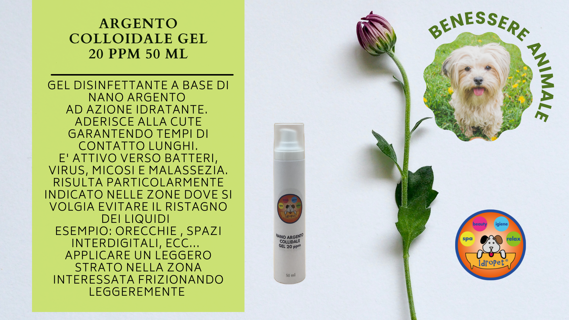 Idropet - Wholesale Pet Grooming Set - Dog - Pet Welfare Gift Box8