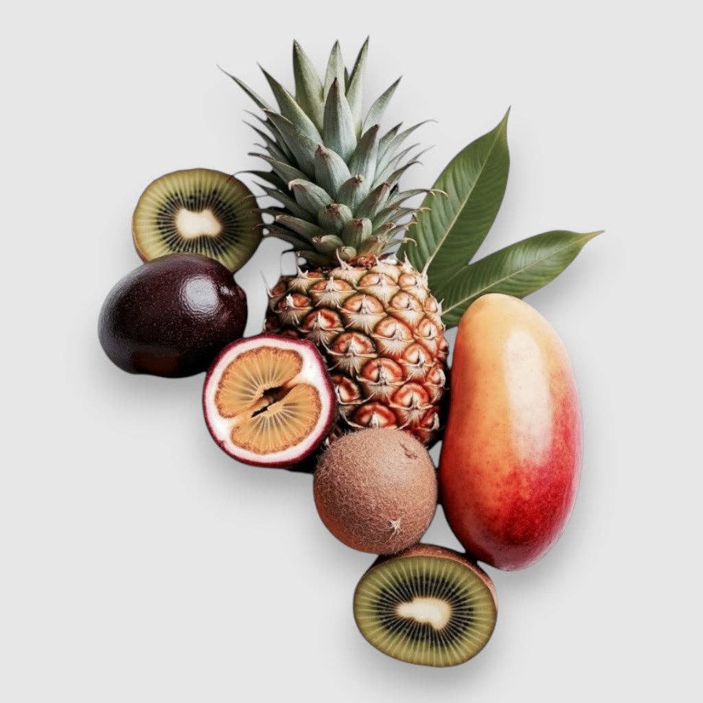 RXLA the brand - Wholesale Reed Diffuser - Bora Bora- Reed Diffuser1