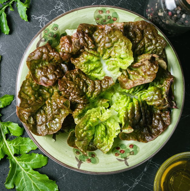 Little Veggie Patch Co - Wholesale Plant seeds - Lettuce 'Mignonette Bronze' Heirloom Seeds2