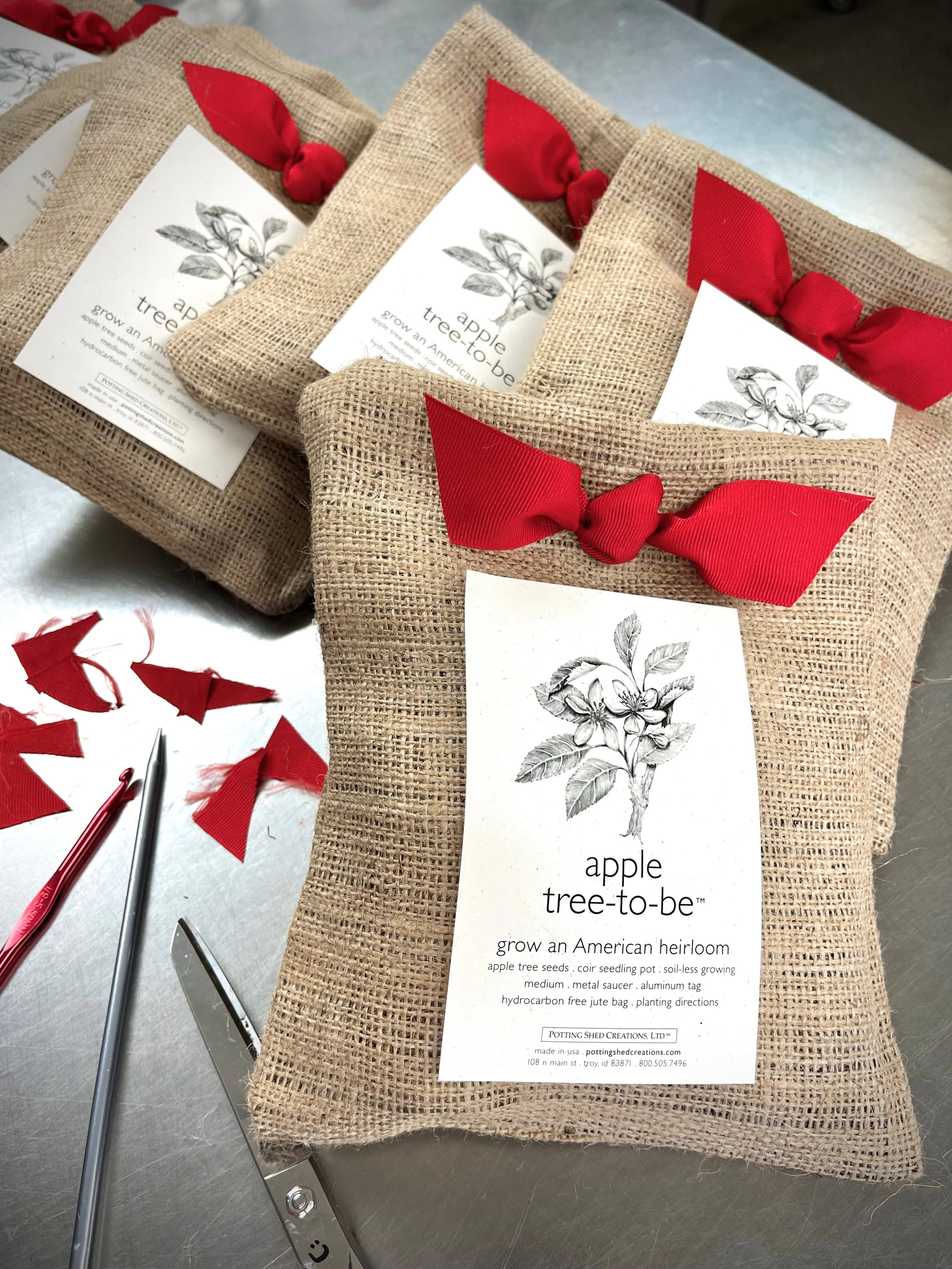 Potting Shed Creations, Ltd. - Wholesale Plant Seeds - Tree To Be | Apple | Teacher Thank you gift | Kid Activity3