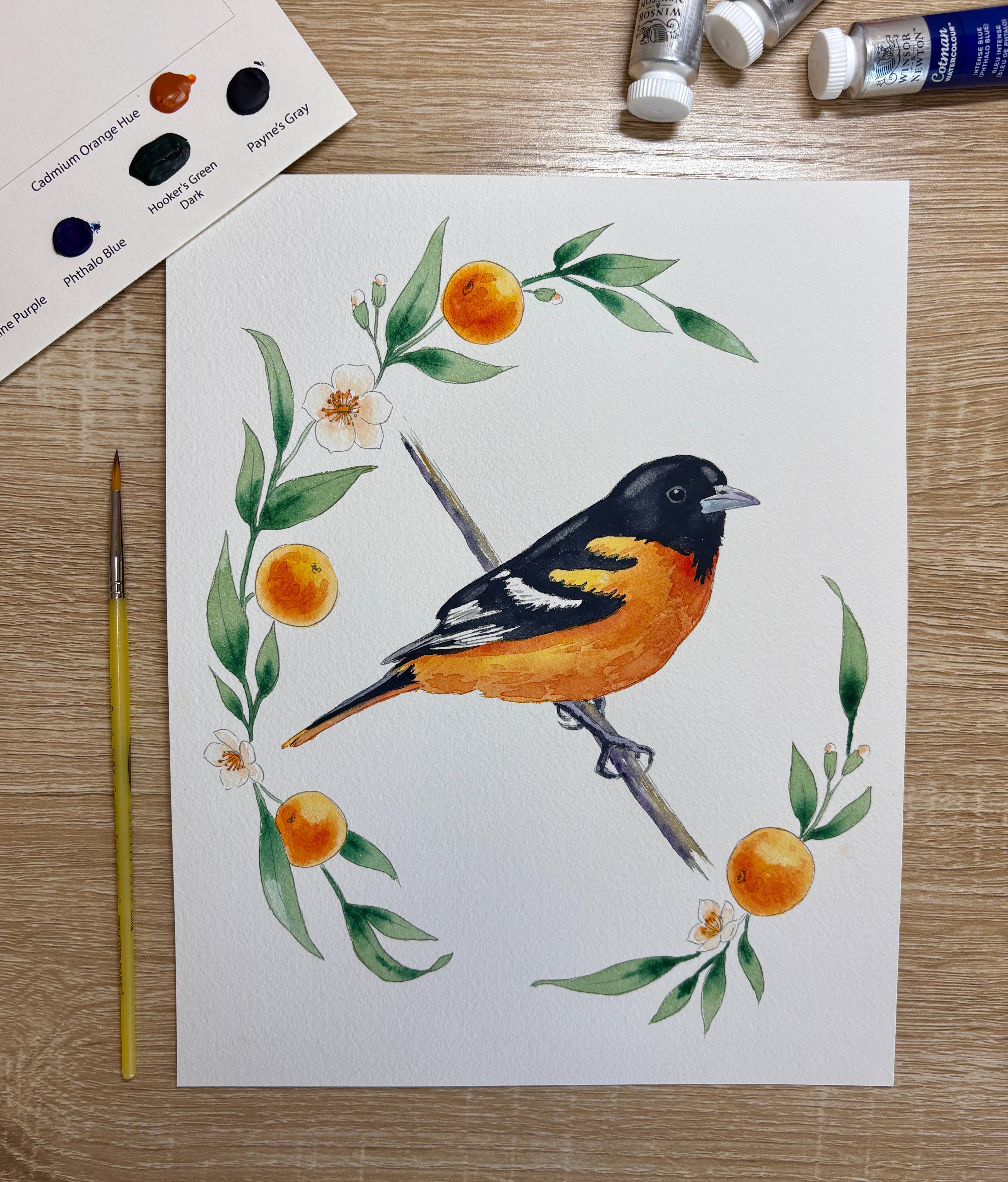 Emily Marie Watercolors - Wholesale DIY Craft Kit - Watercolor Painting Kit: Backyard Birds7