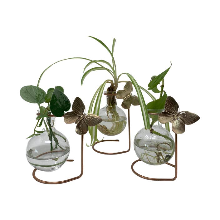 The Brass Butterfly - Wholesale Vase - Standing Plant Propagation Vase0